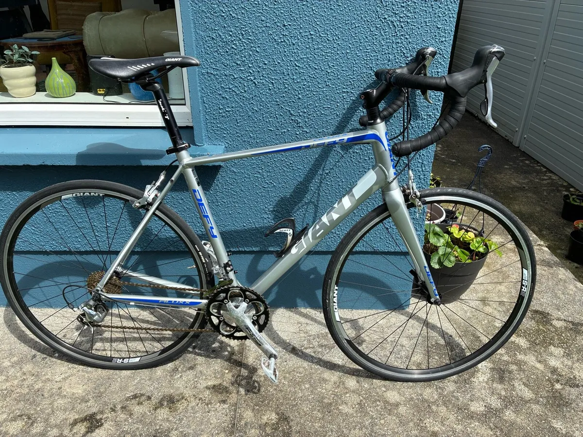 Giant Defy 2 2013 - Image 2