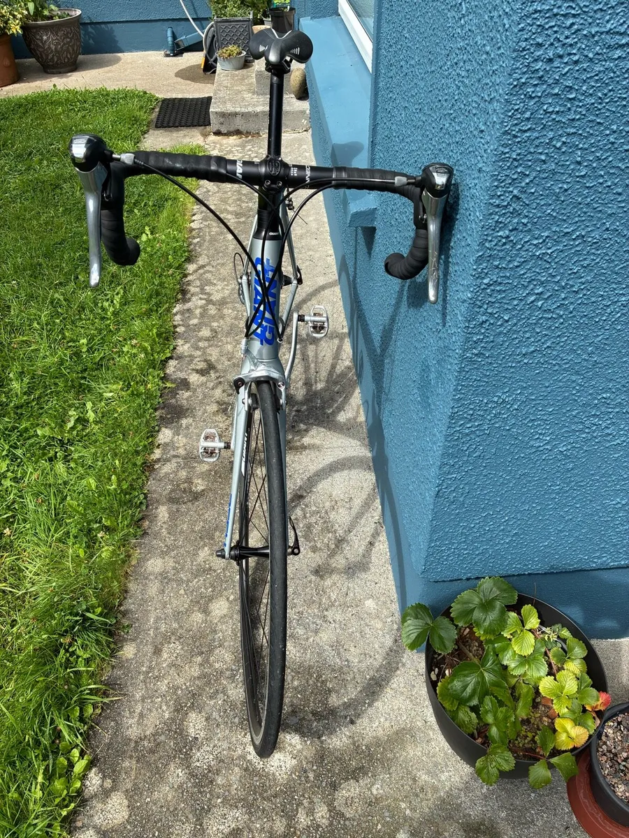 Giant Defy 2 2013 - Image 3