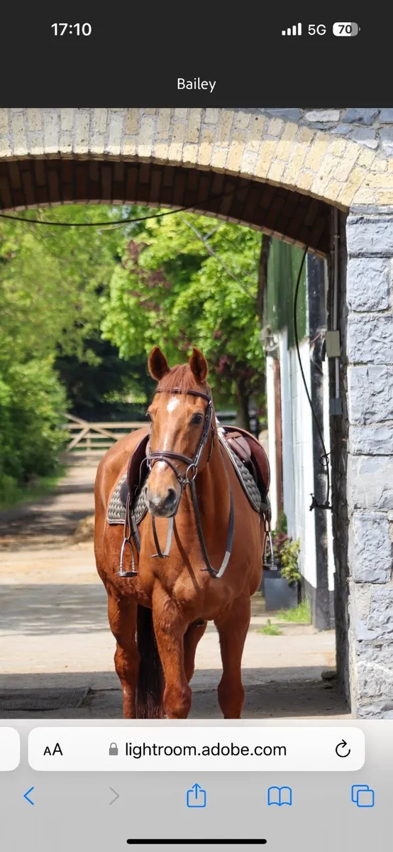Eventer - Image 2