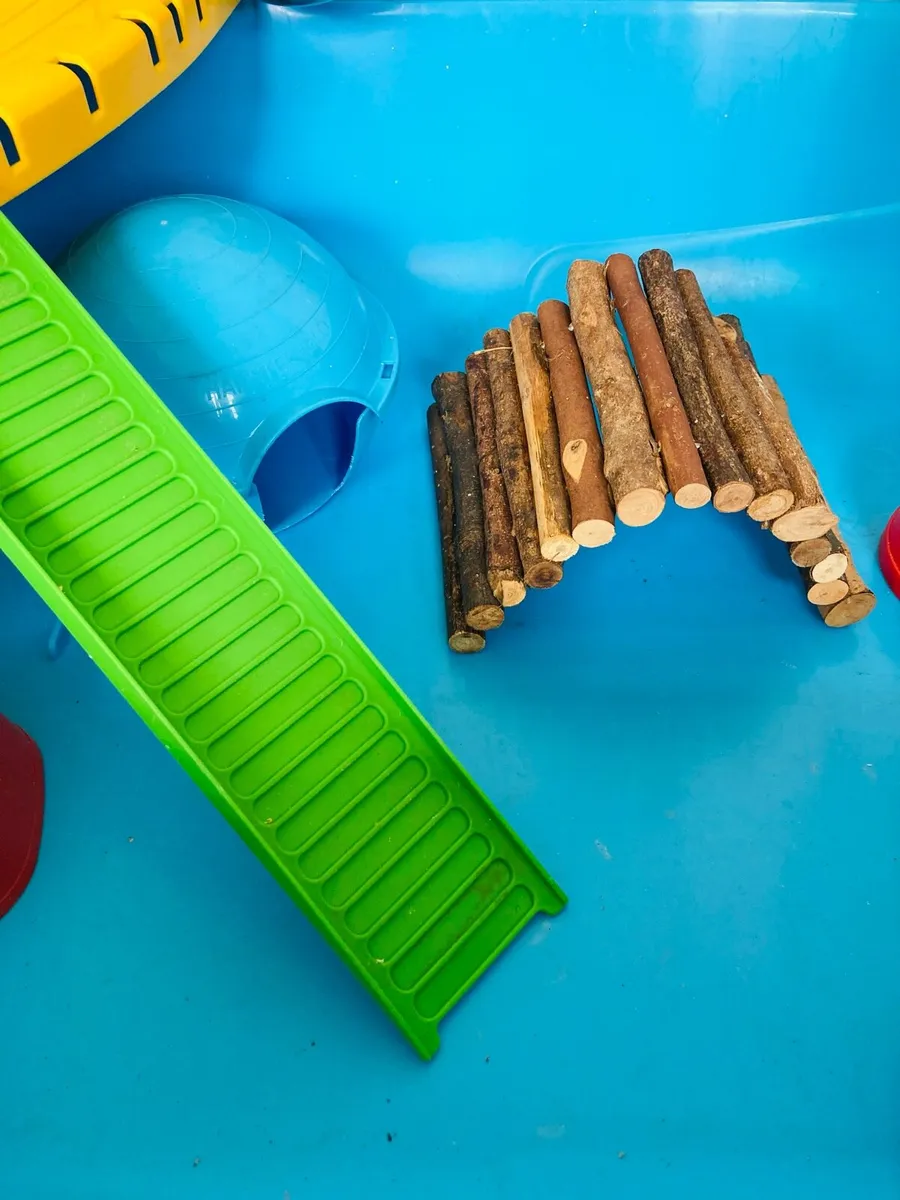 Large Hamster Cage Setup - Image 3