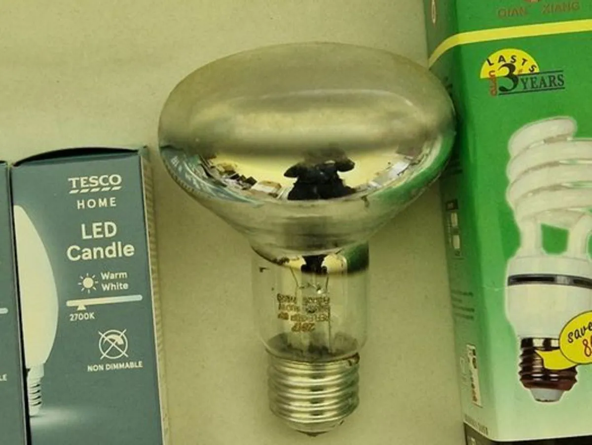 Huge Selection of NEW Various Electric Light Bulbs - Image 3