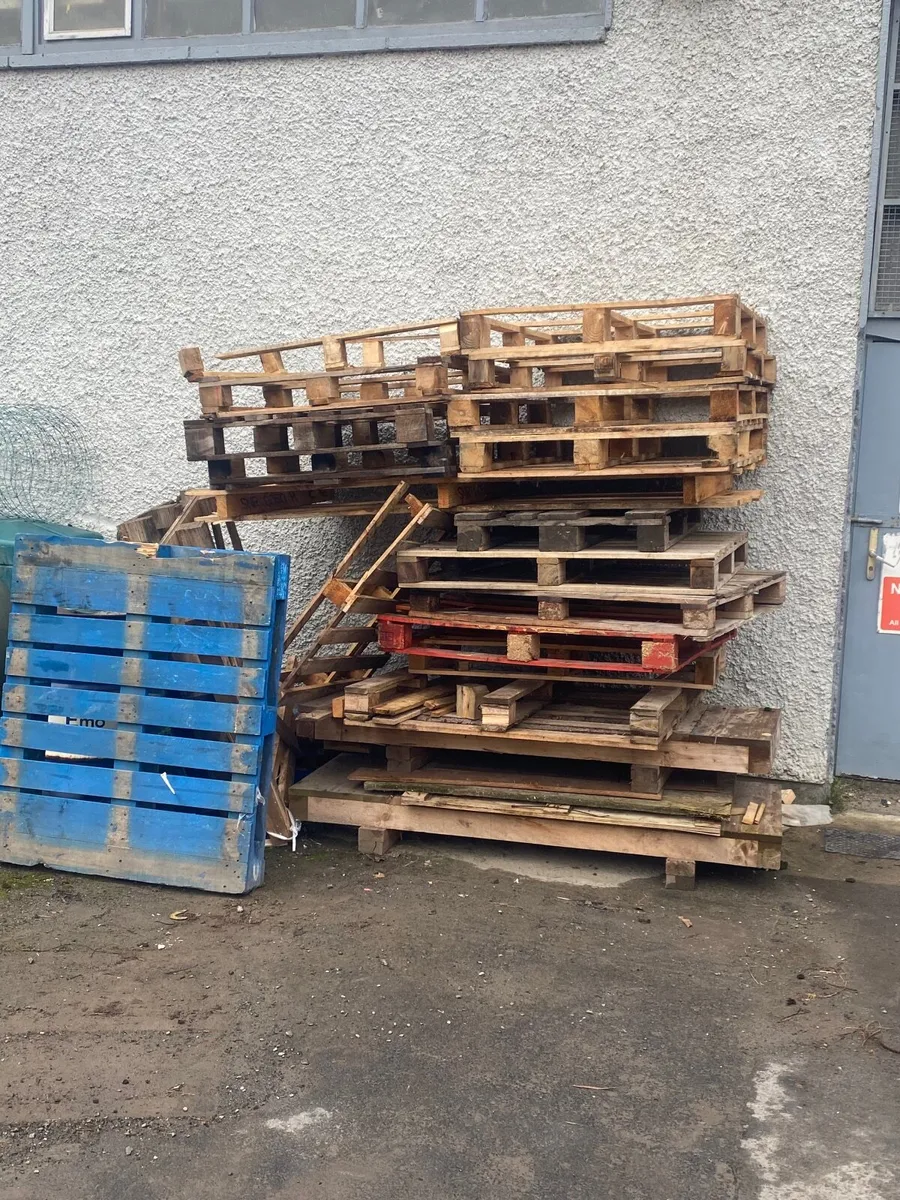 Free to take away pallets - Image 1