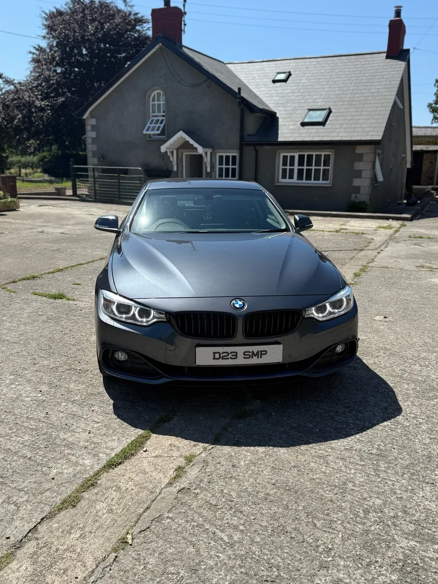 BMW 420 - Image 1
