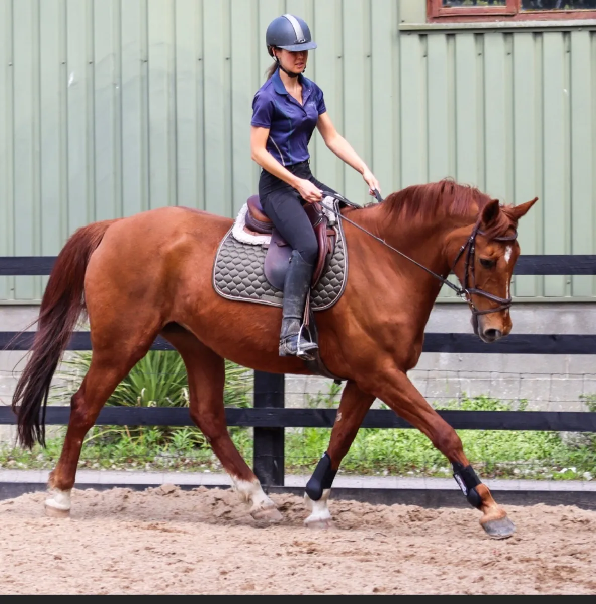 Eventer - Image 4