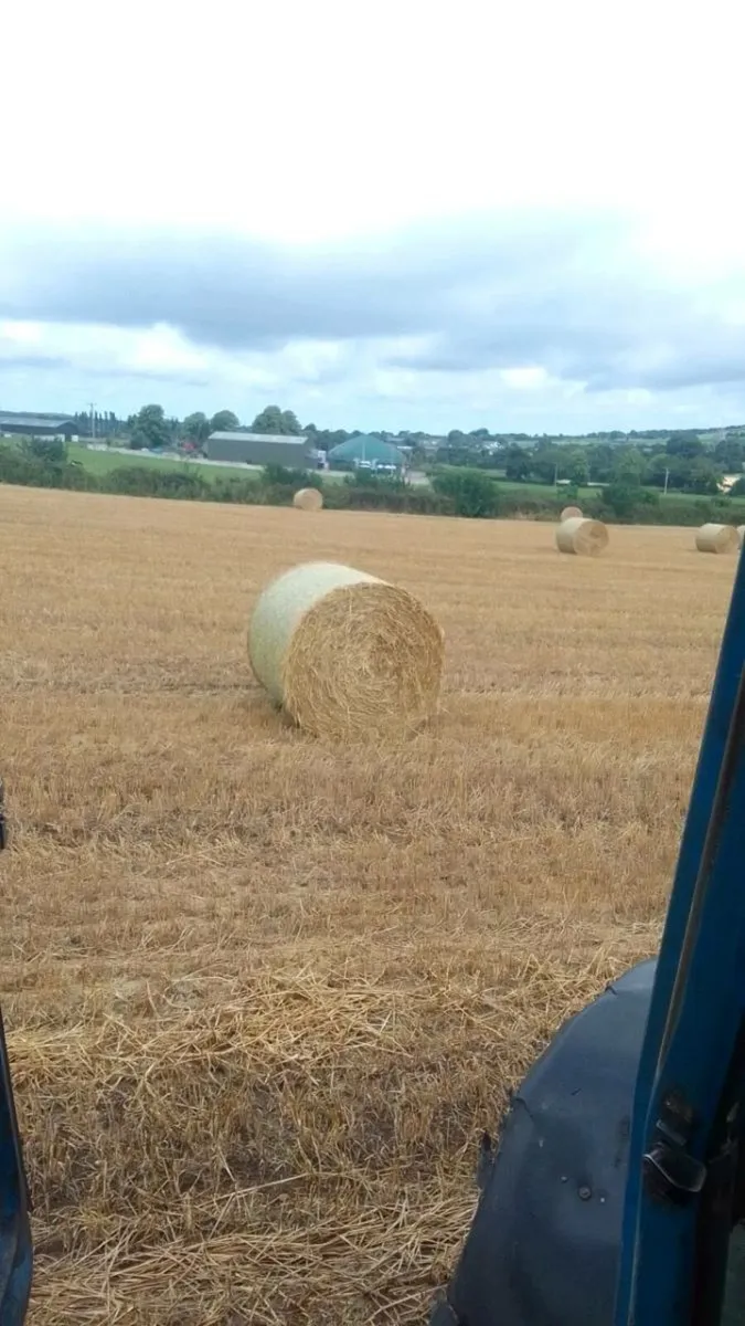 Spring barley straw for sale - Image 4