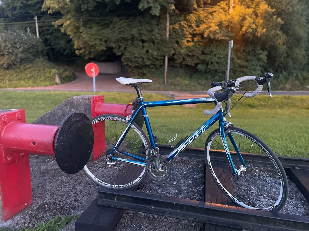 Scott speedster XL - 700x25c - €260