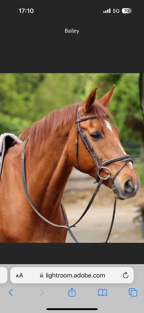 Eventer - Image 3