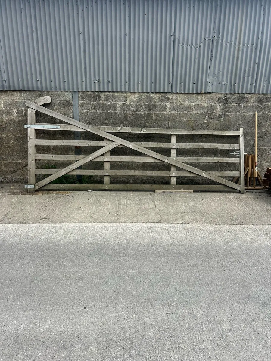 Timber Ranch Gate