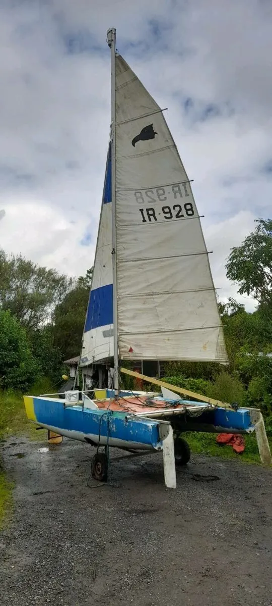 Condor 4.9 Catamaran - Image 1