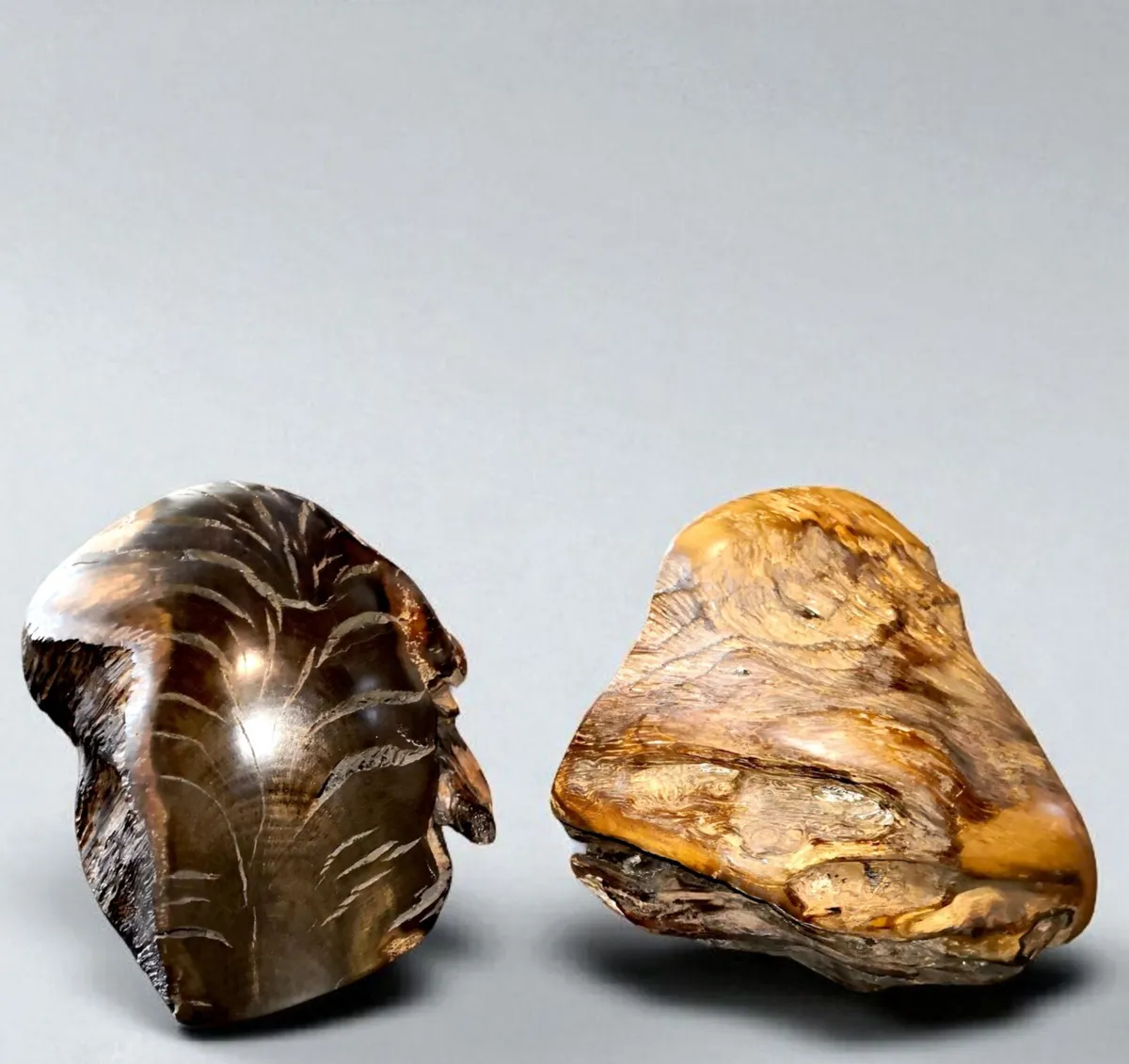 Pair of heavy petrified wood large bookends - Image 2