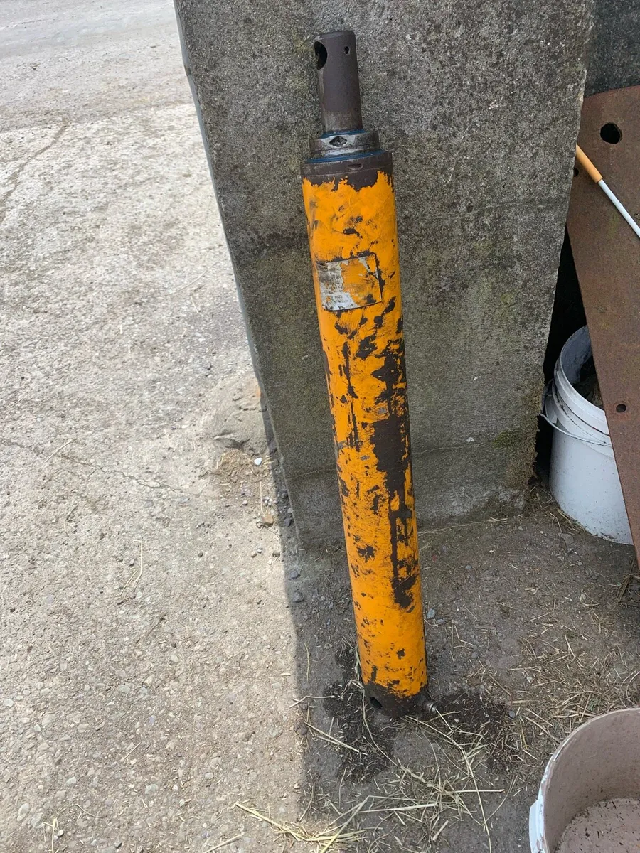 Yard clearance - Image 1