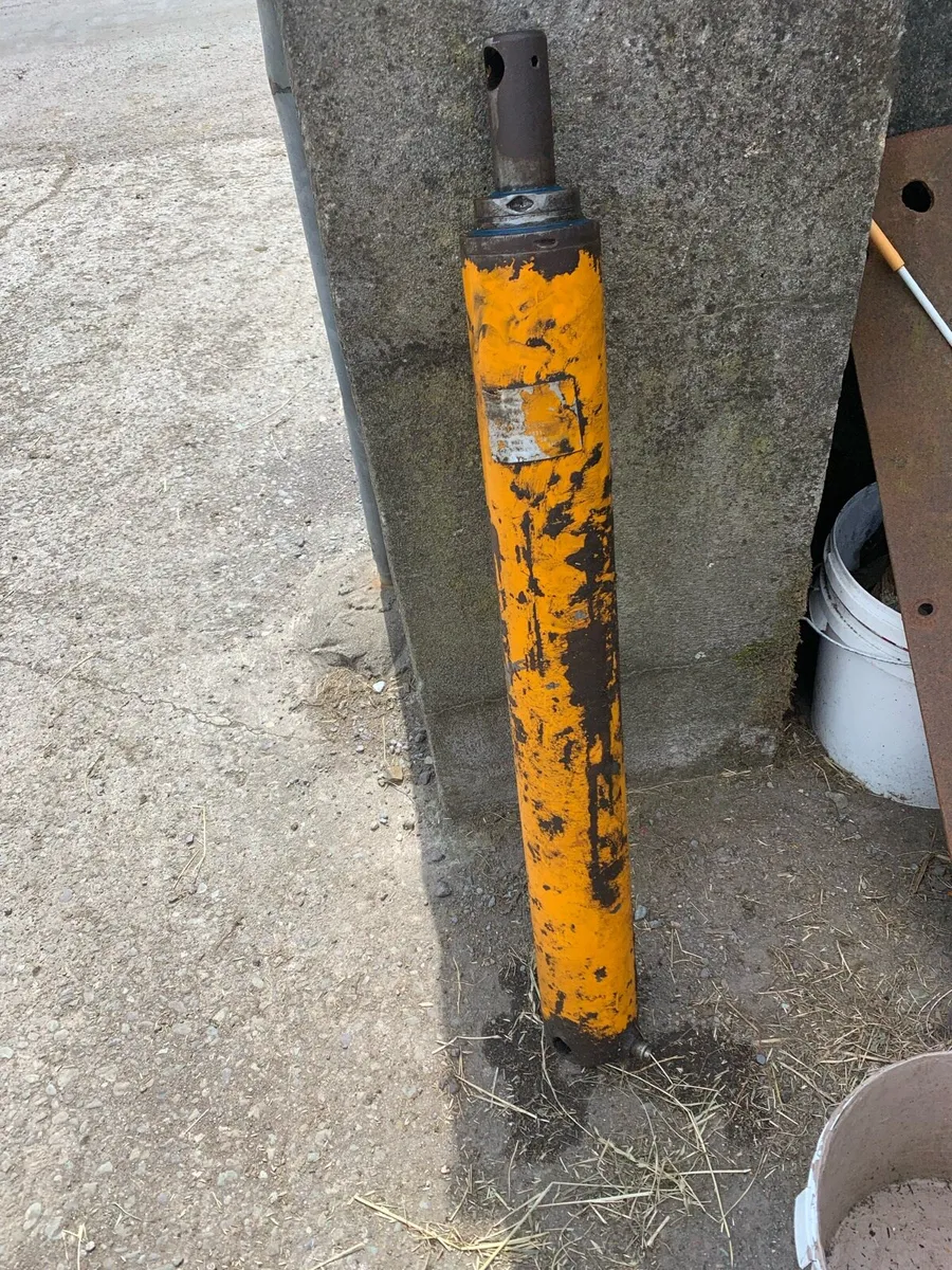 Yard clearance - Image 2