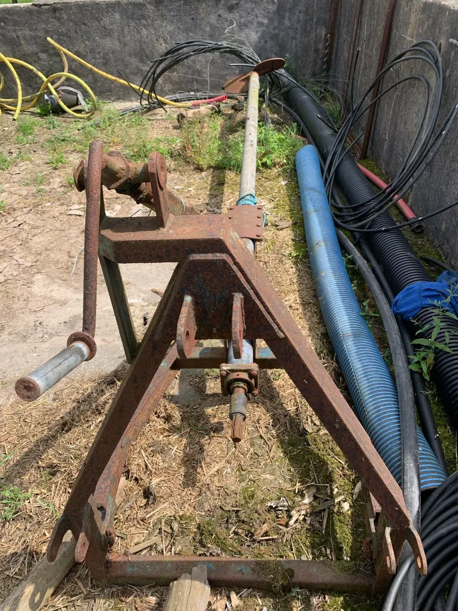 Yard clearance - Image 3
