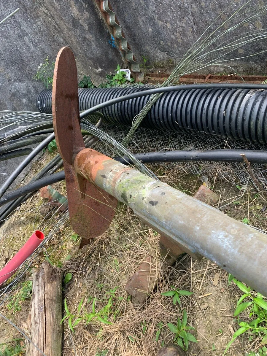 Yard clearance - Image 4