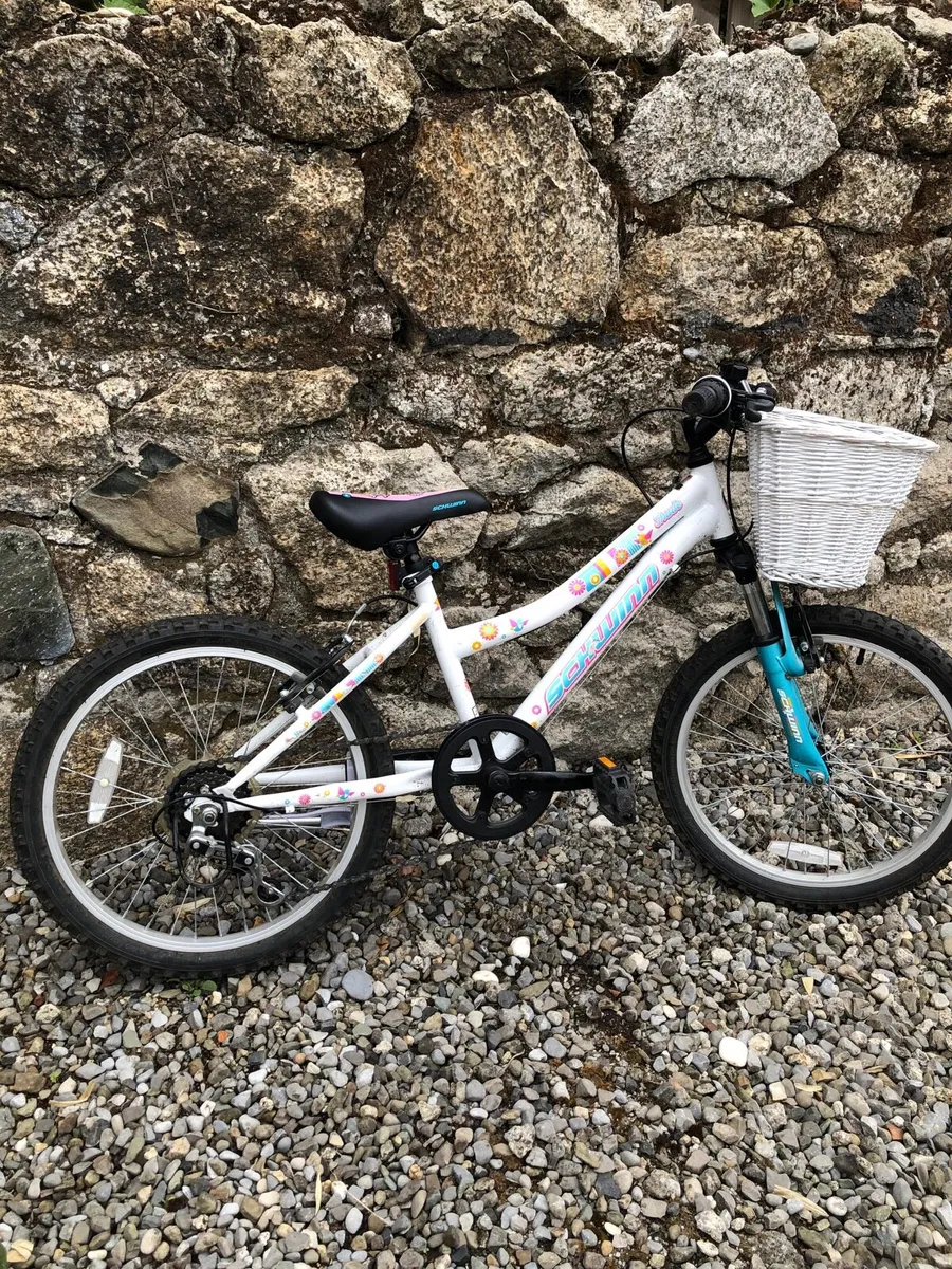 Girls Bicycle - Image 1