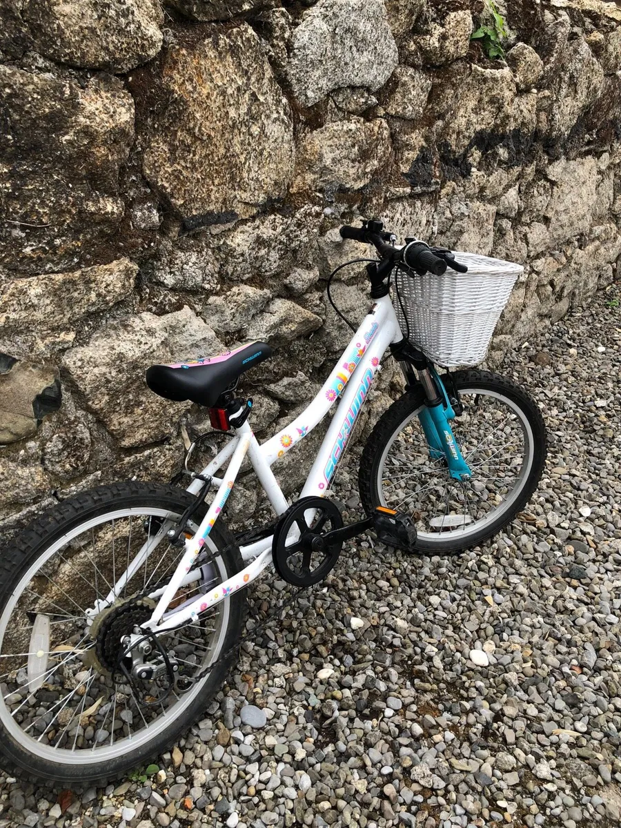 Girls Bicycle - Image 2
