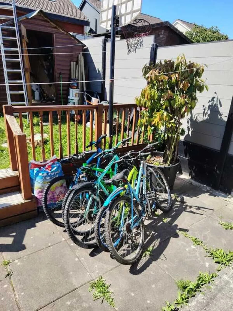 Bicycles (Clearing Shed) - Image 1