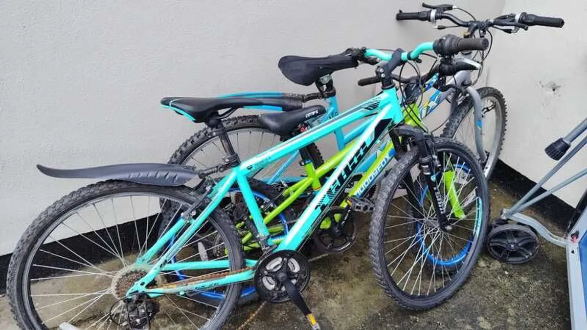 Bicycles (Clearing Shed) - Image 2