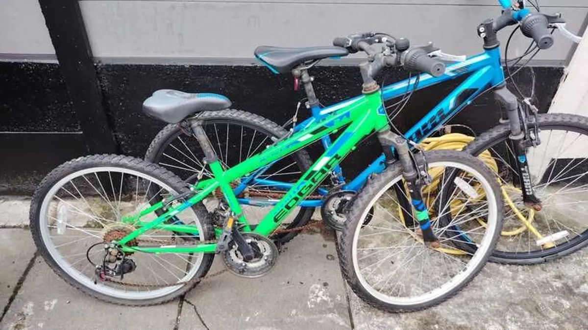 Bicycles (Clearing Shed) - Image 3