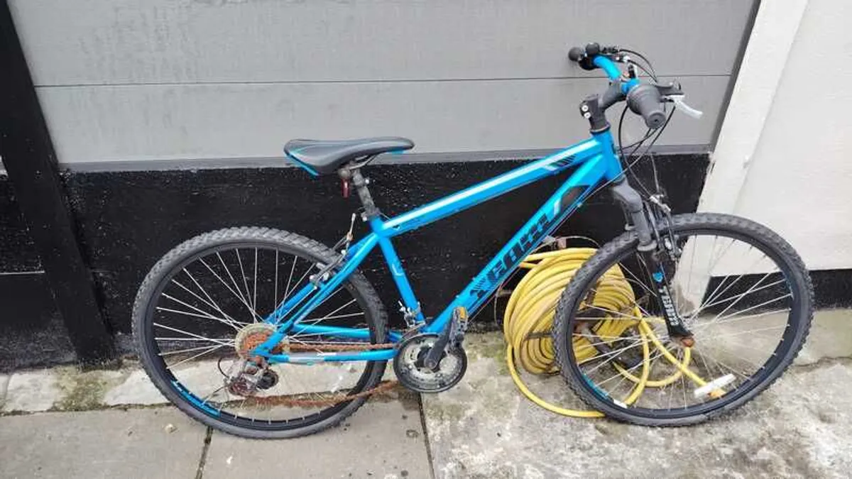 Bicycles (Clearing Shed) - Image 4