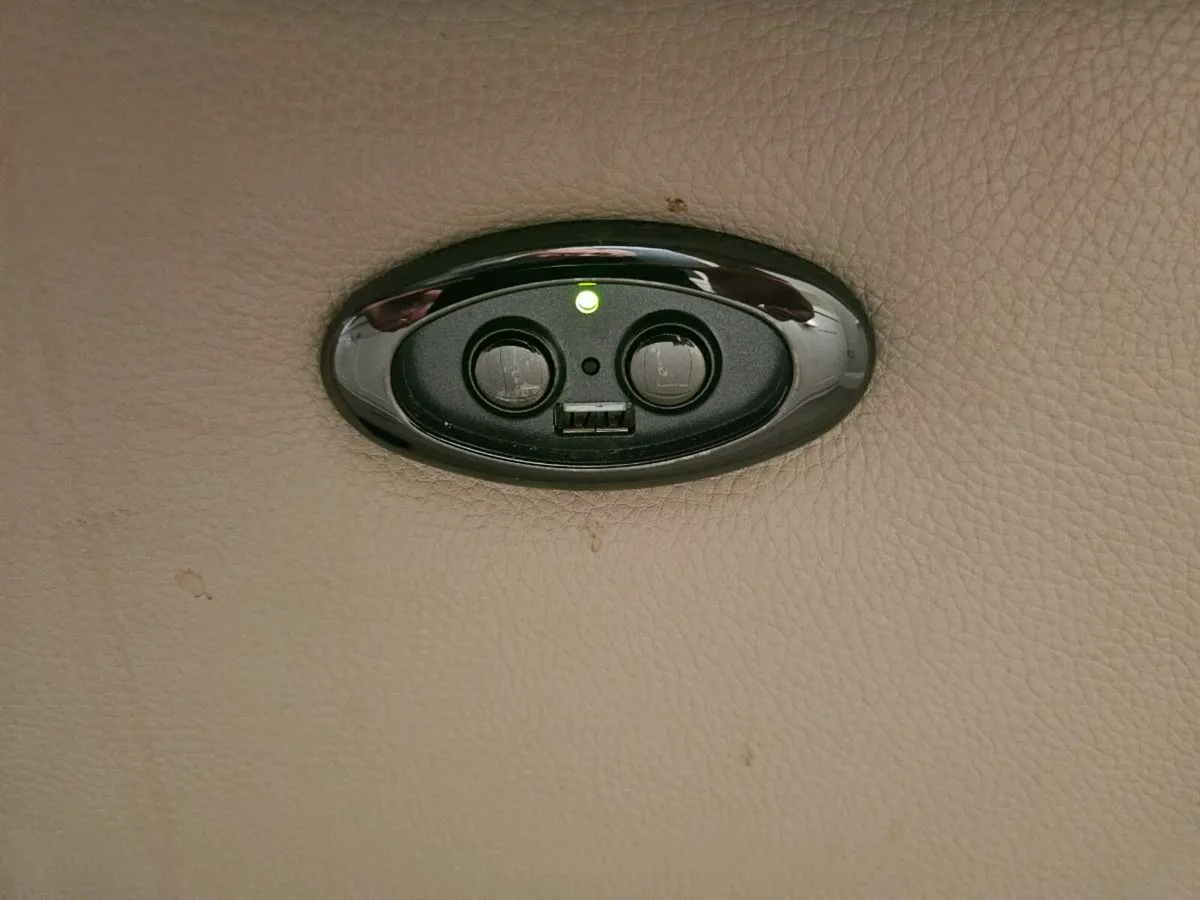 Genuine leather coich - Image 1