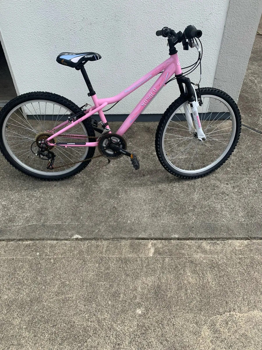 Bicycle - Image 4