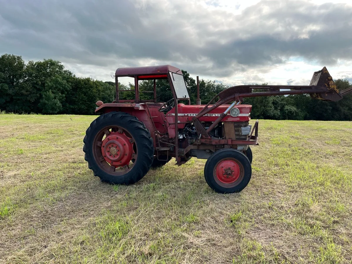 Massey Ferguson 165 - Image 2