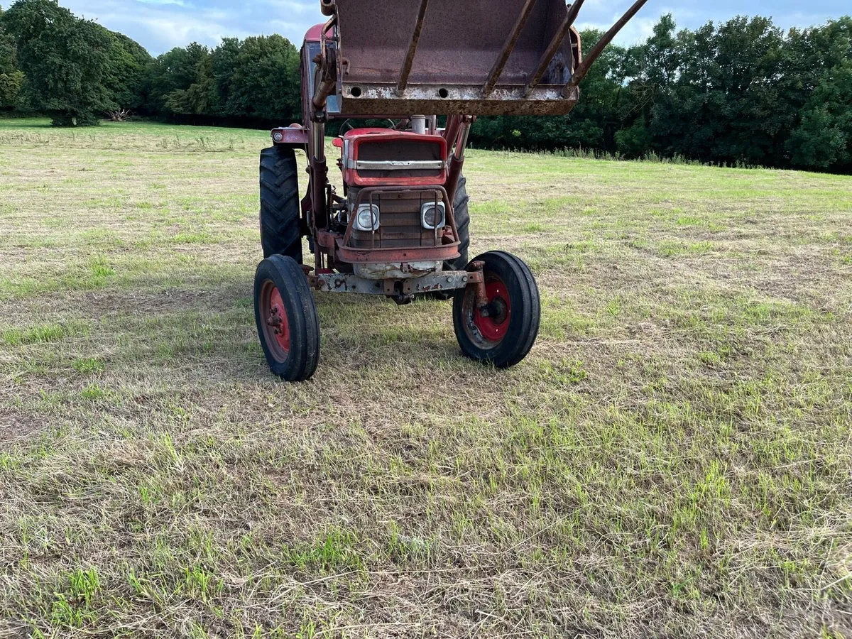 Massey Ferguson 165 - Image 4
