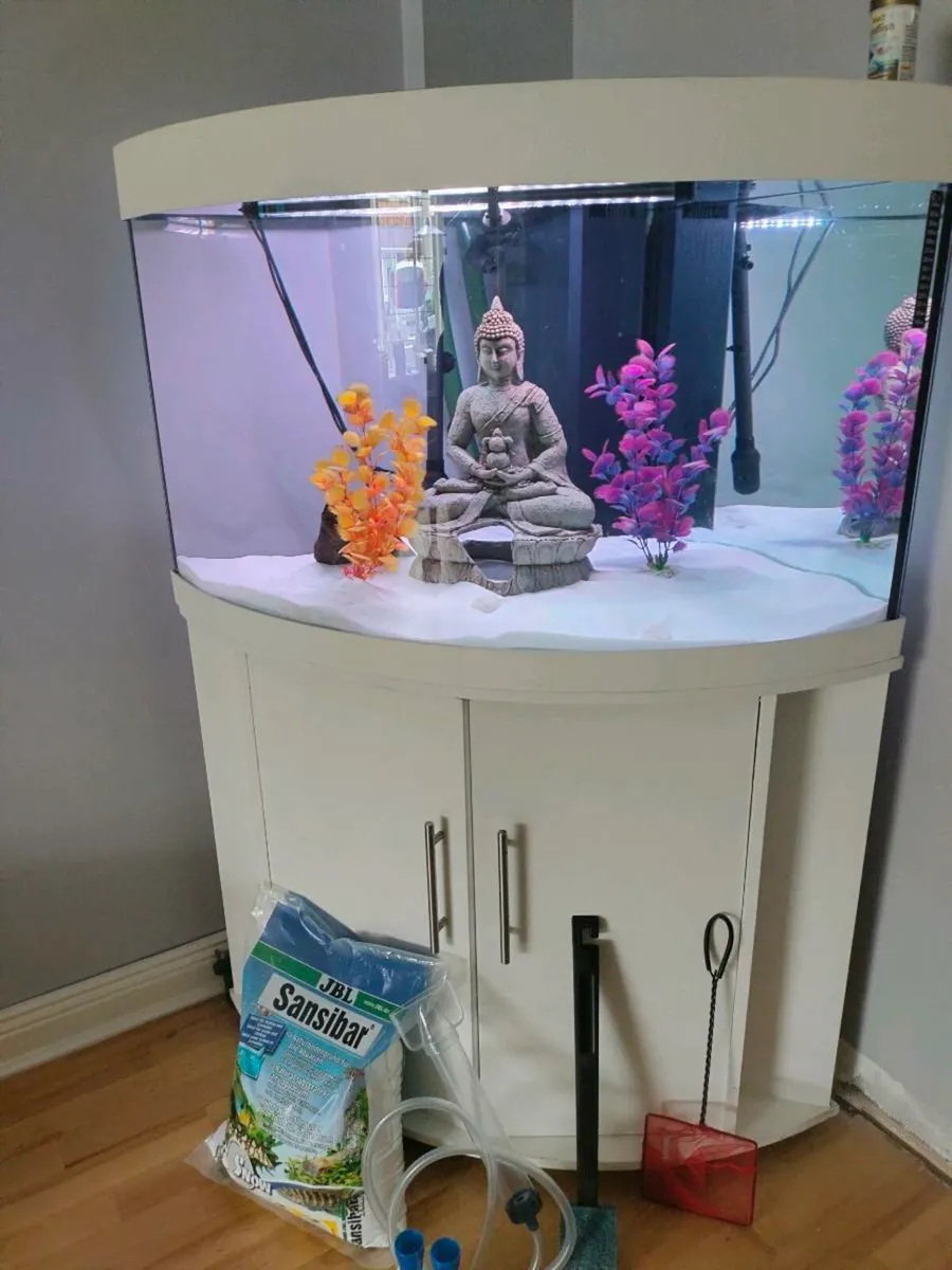 Fish Tank - Image 1