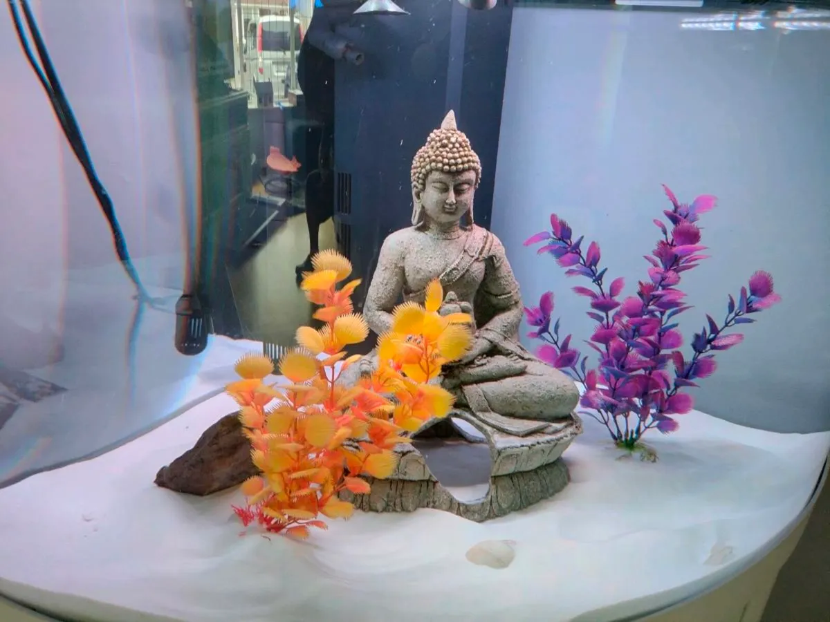Fish Tank - Image 2