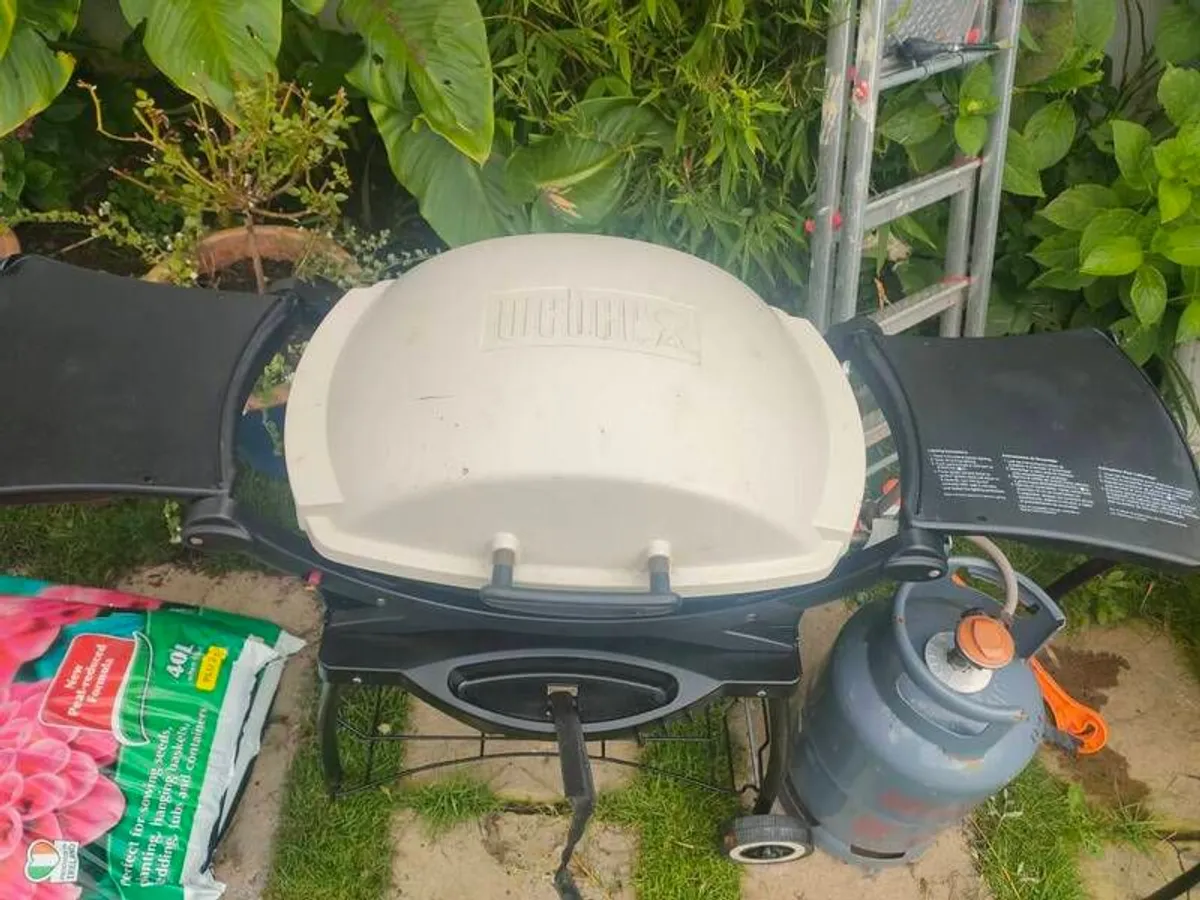 Barbeque - Image 2