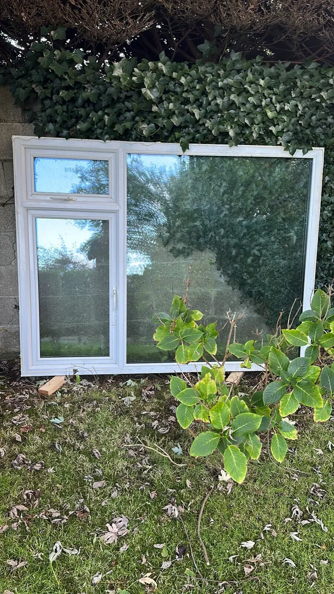 Window