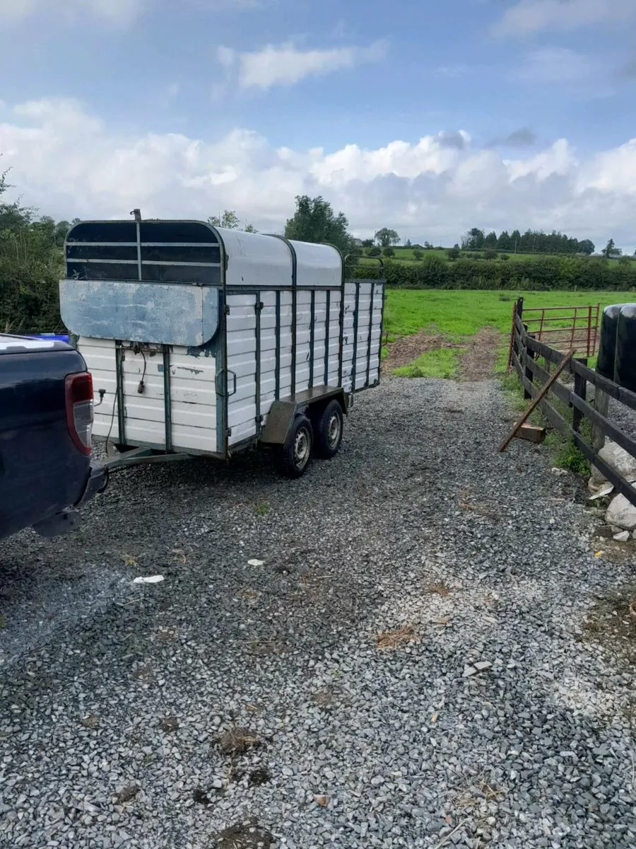 2cow cattle trailer cal 0868782672 - Image 1