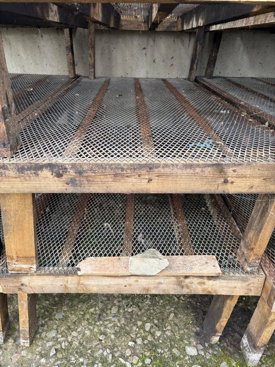 Mesh Sheep Slats + wooden walkthrough feeders - Image 2