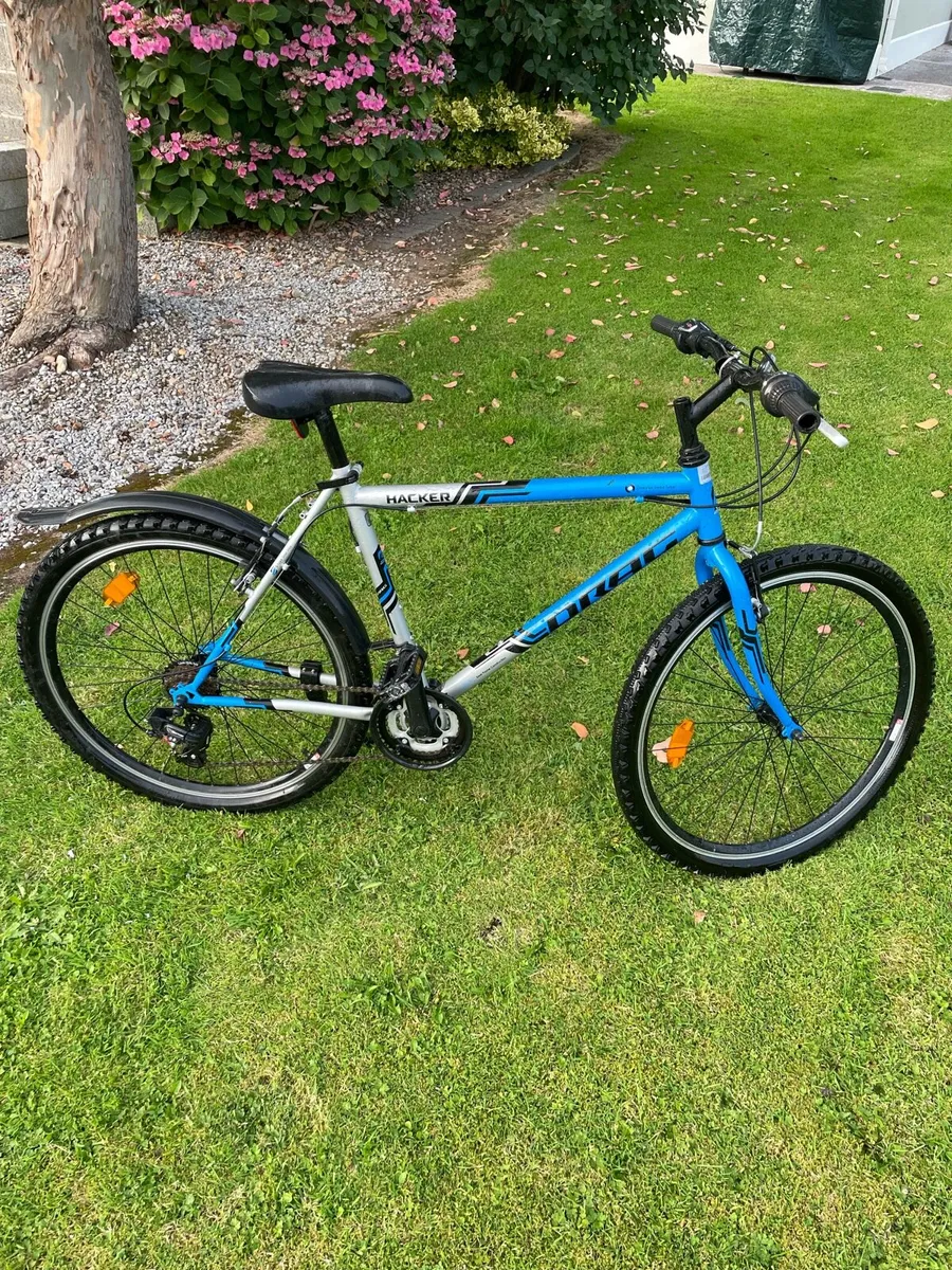 Bike - Image 3