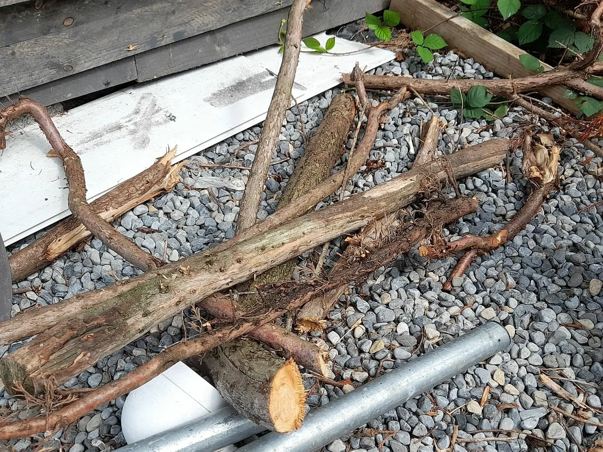 fire wood - free - Image 1