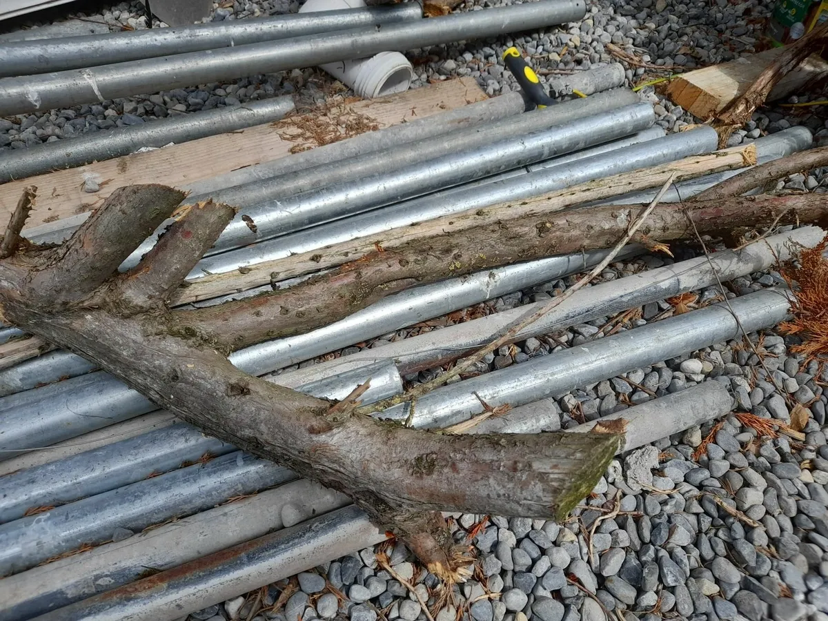 fire wood - free - Image 2
