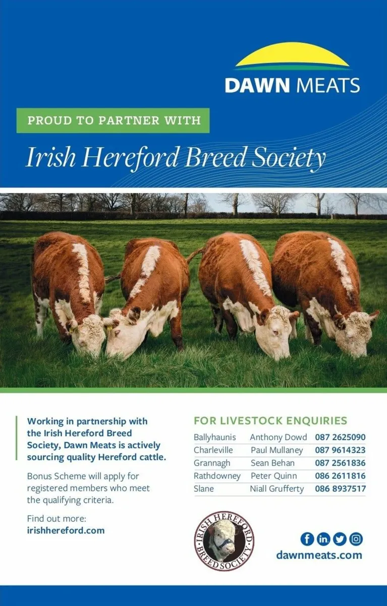Hereford Beef Bonus Scheme