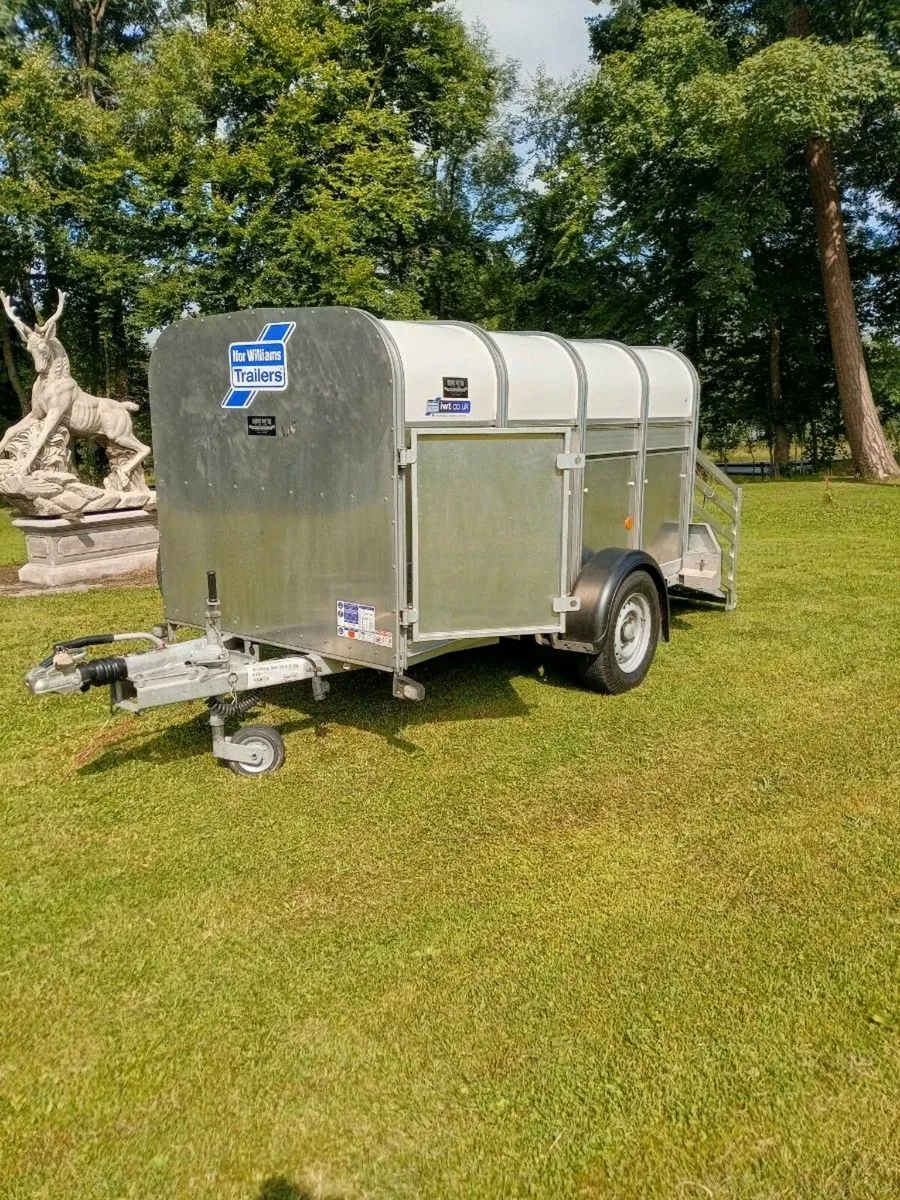 Brand new Ivor Williams livestock trailer - Image 1