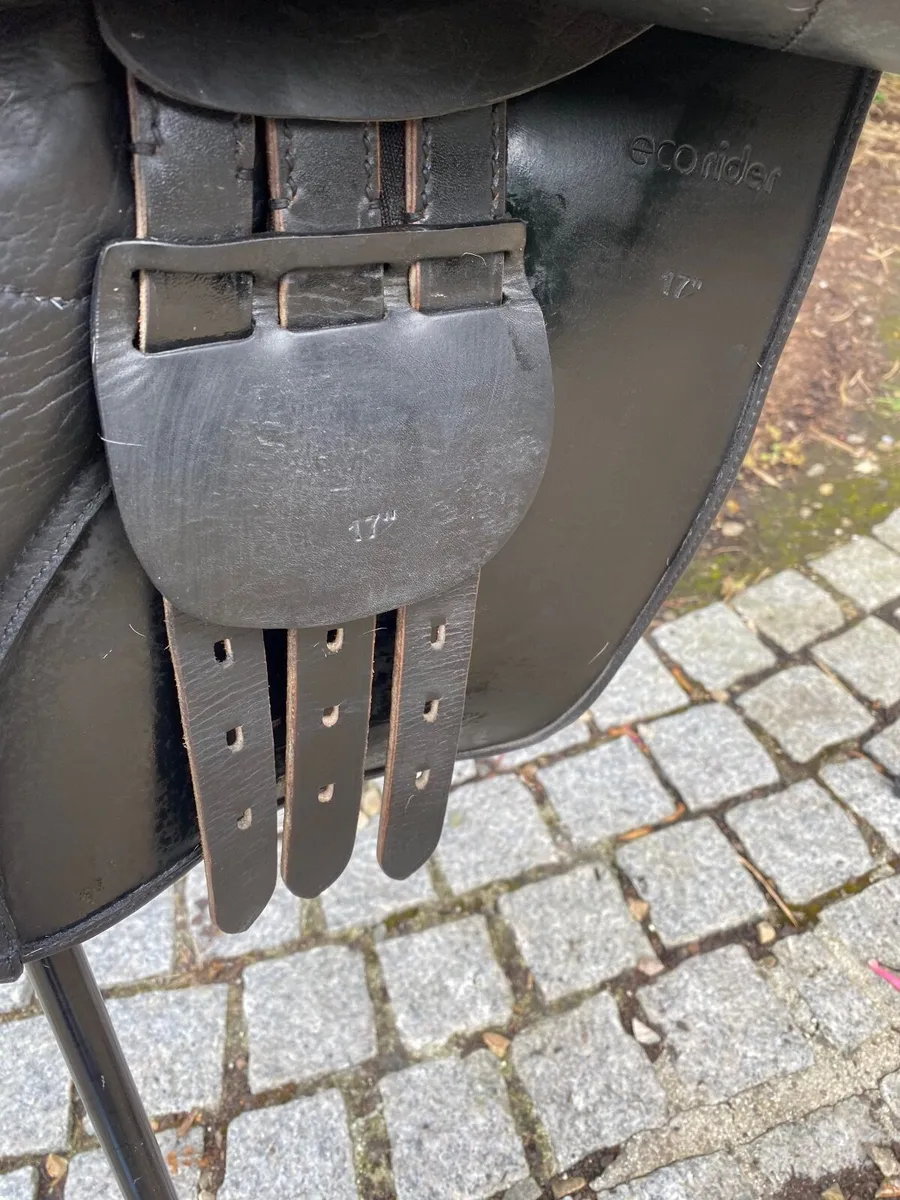 eco rider freedom jump saddle - Image 3