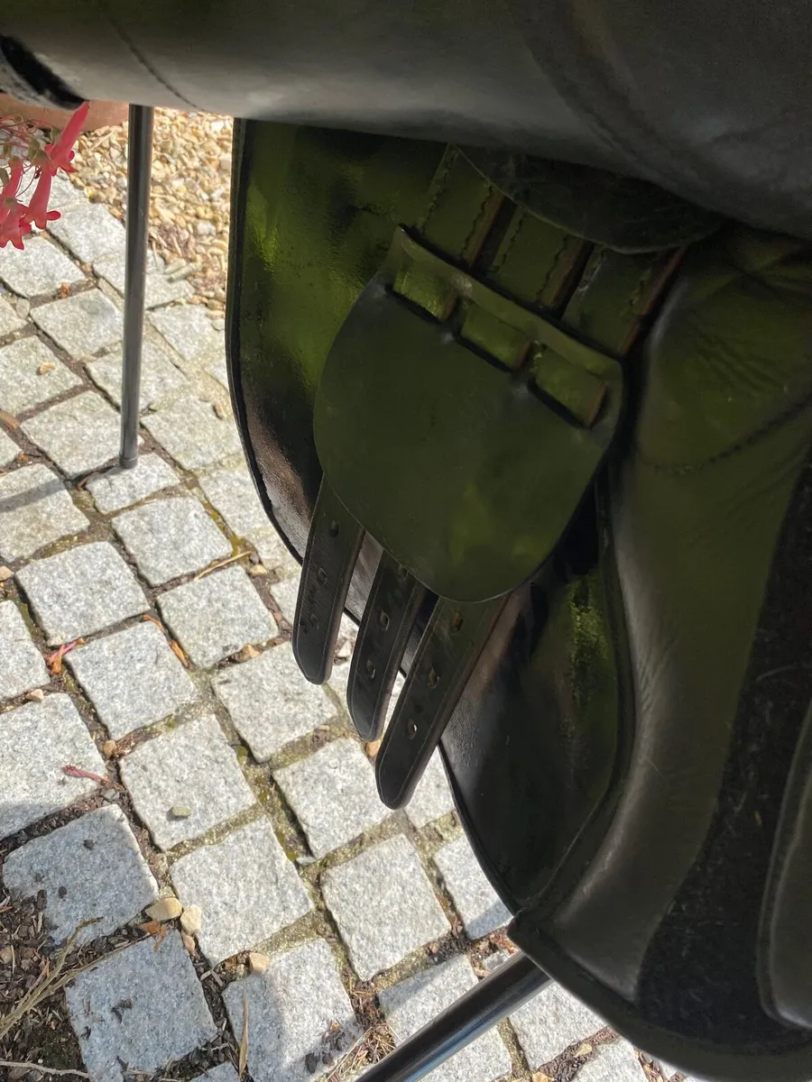 eco rider freedom jump saddle - Image 4