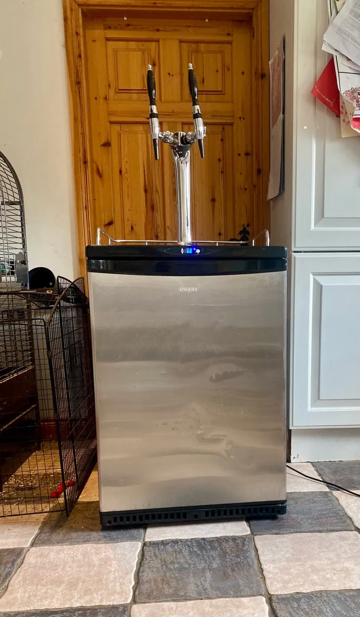 Kegerator and gear - Image 2