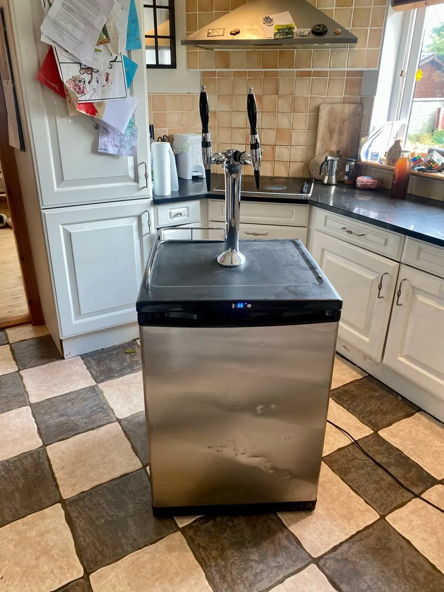 Kegerator and gear - Image 3