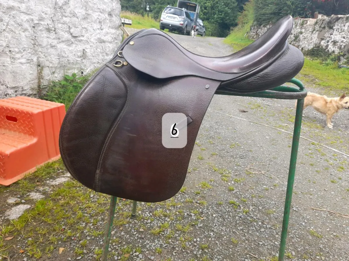 Saddles - clearance selection - Image 1