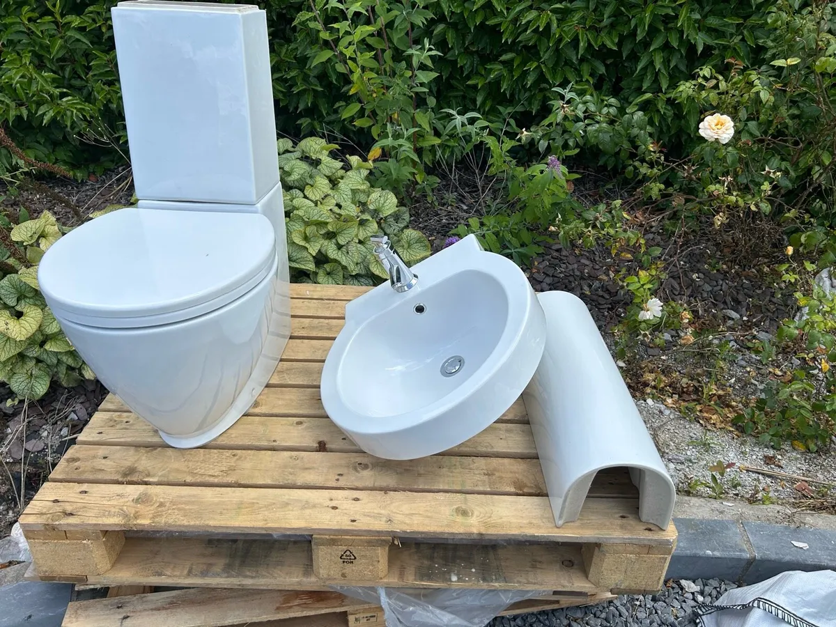 Toilet and sink