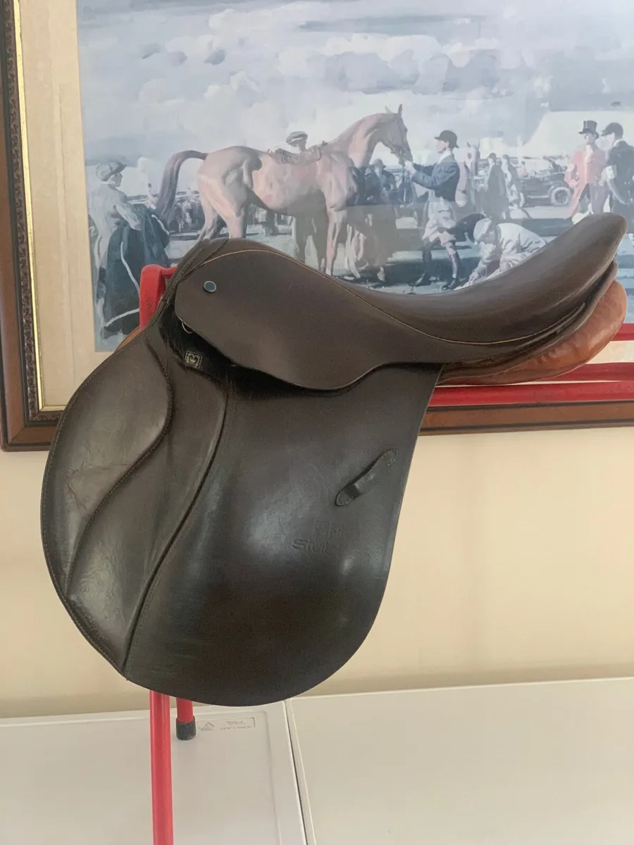 Saddle - Image 3