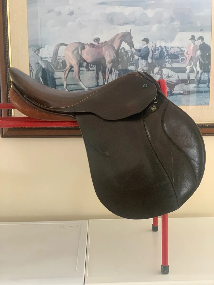 Saddle - Image 4