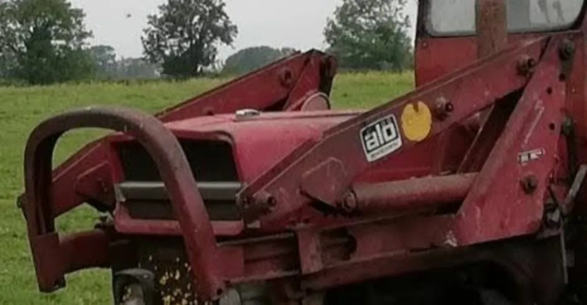 2030 loader and buck rake - Image 3