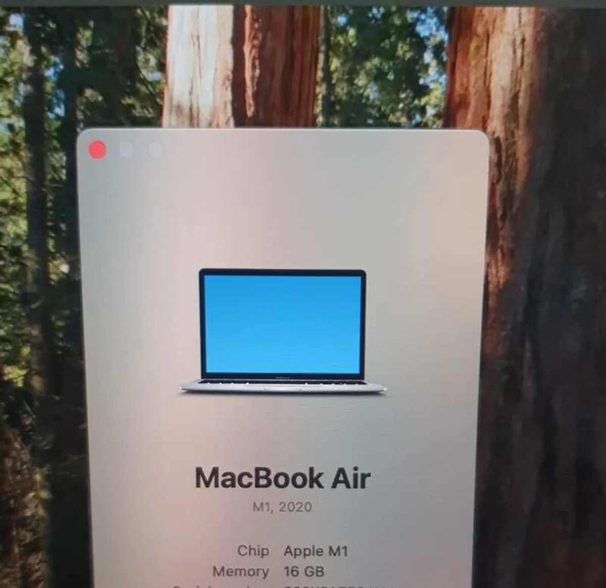 Apple MacBook Air 13" (M1, 2020) | 16GB RAM | 256GB SSD | Silver - Image 4