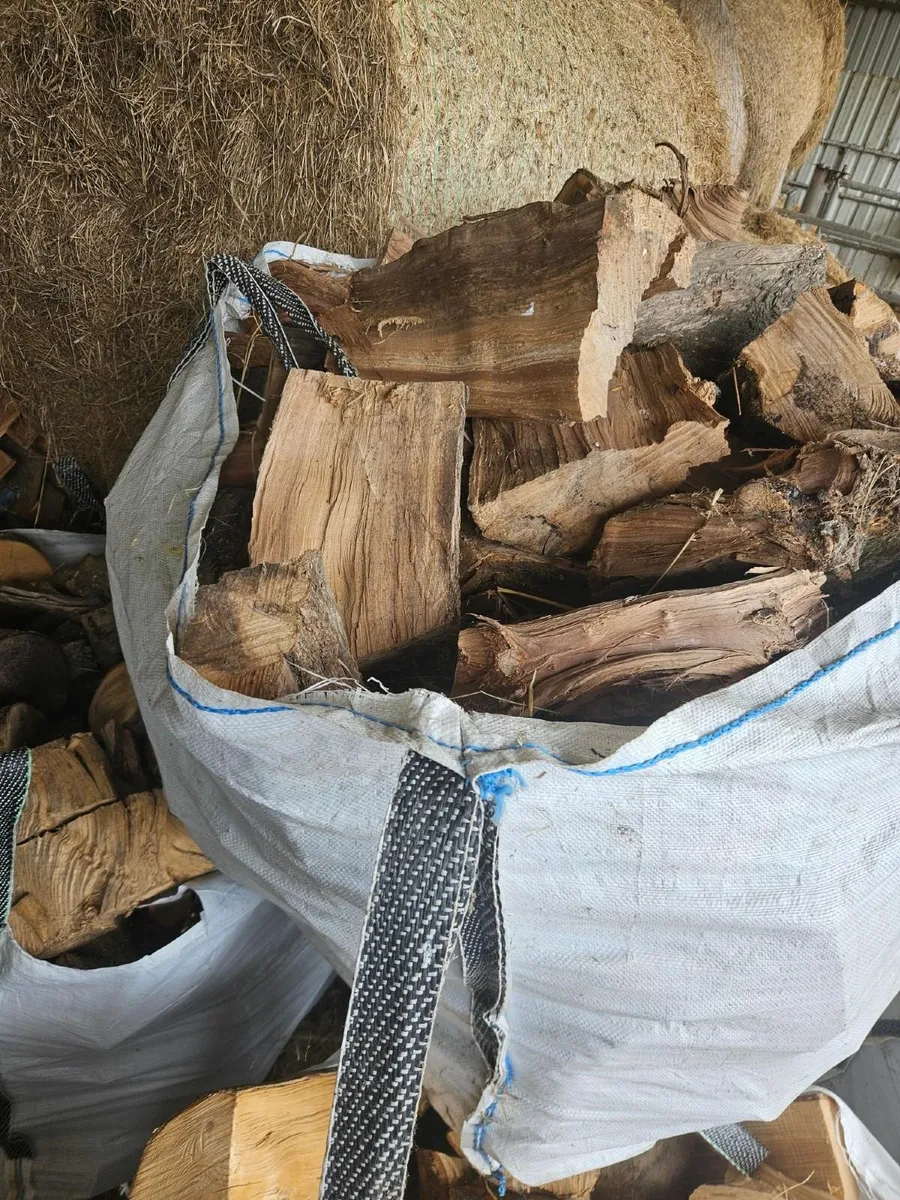 Firewood - Ton bags - Image 2